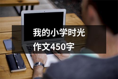 我的小学时光作文450字