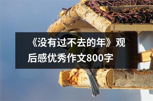 《没有过不去的年》观后感优秀作文800字