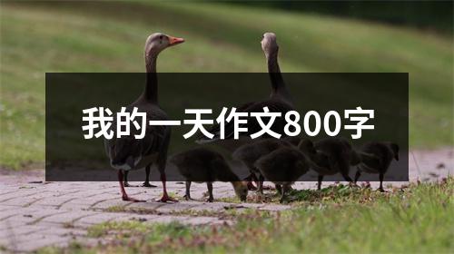 我的一天作文800字