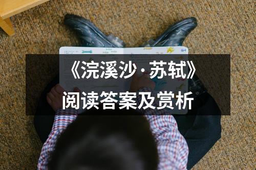 《浣溪沙·苏轼》阅读答案及赏析