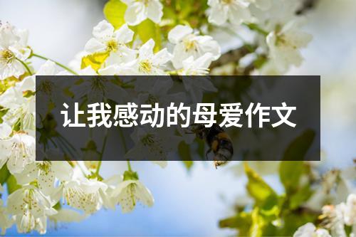 让我感动的母爱作文