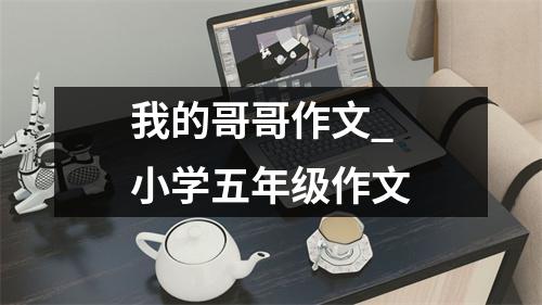 我的哥哥作文_小学五年级作文