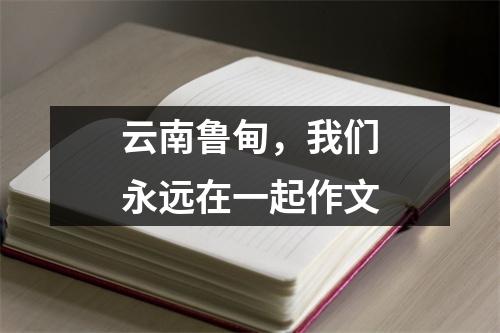 云南鲁甸，我们永远在一起作文