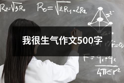 我很生气作文500字