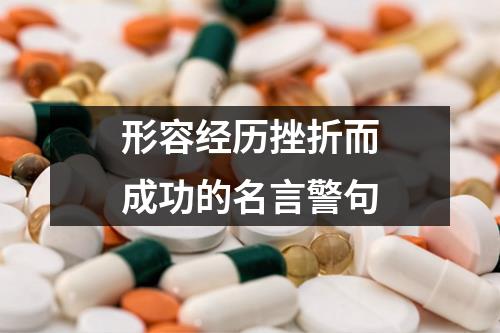 形容经历挫折而成功的名言警句