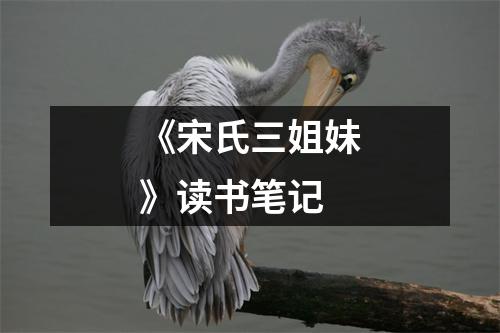 《宋氏三姐妹》读书笔记