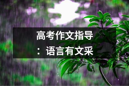 高考作文指导：语言有文采