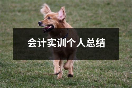 会计实训个人总结