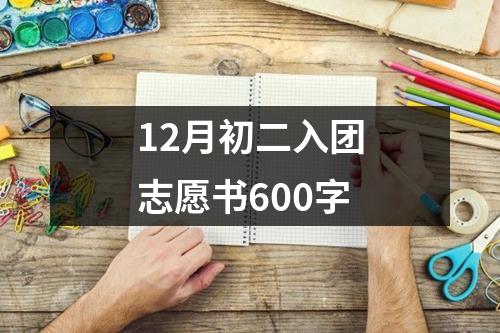 12月初二入团志愿书600字