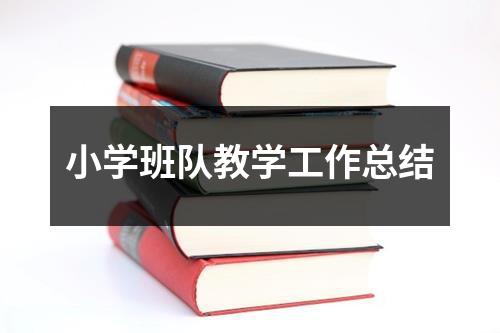 小学班队教学工作总结