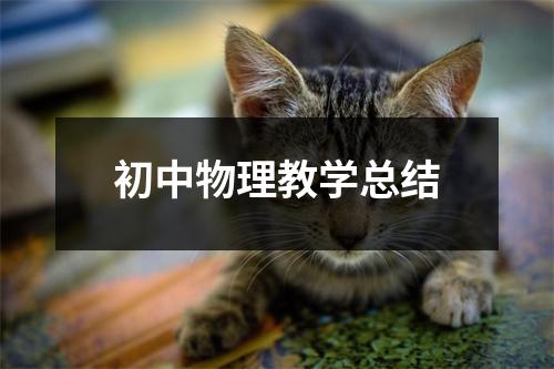 初中物理教学总结