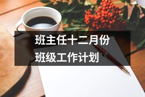 班主任十二月份班级工作计划