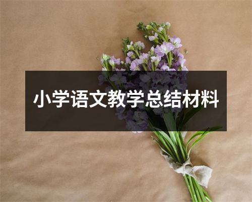 小学语文教学总结材料