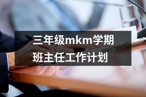 三年级mkm学期班主任工作计划