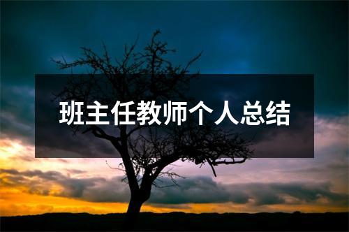 班主任教师个人总结