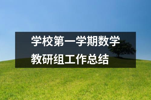 学校第一学期数学教研组工作总结