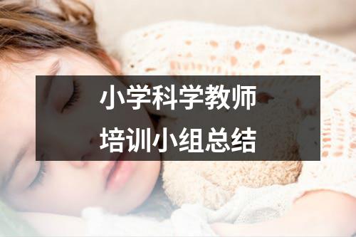 小学科学教师培训小组总结