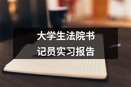 大学生法院书记员实习报告