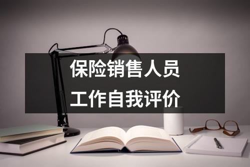 保险销售人员工作自我评价