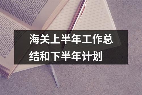 海关上半年工作总结和下半年计划