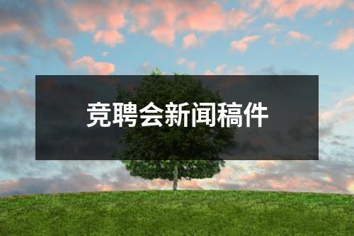 竞聘会新闻稿件