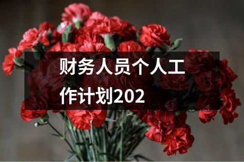 财务人员个人工作计划202