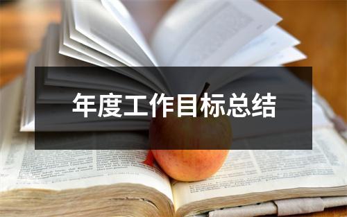 年度工作目标总结