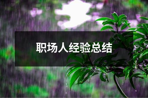 职场人经验总结