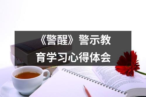 《警醒》警示教育学习心得体会