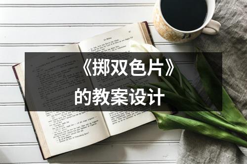 《掷双色片》的教案设计