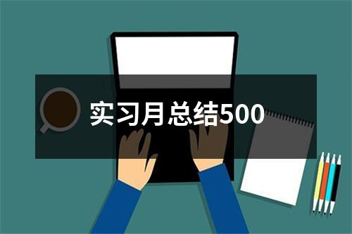 实习月总结500