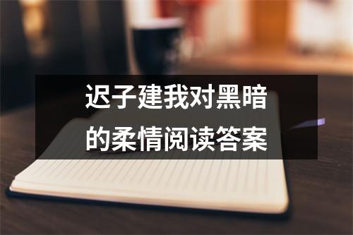 迟子建我对黑暗的柔情阅读答案