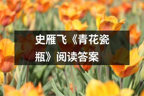 史雁飞《青花瓷瓶》阅读答案