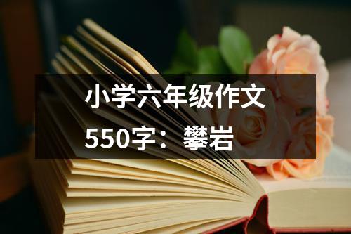 小学六年级作文550字：攀岩