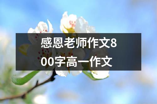 感恩老师作文800字高一作文