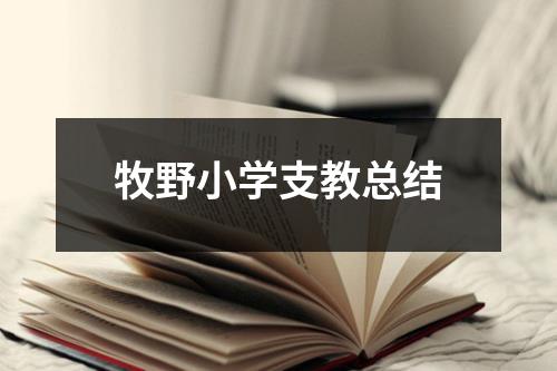 牧野小学支教总结