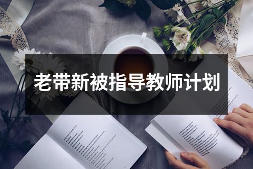 老带新被指导教师计划