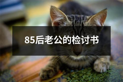 85后老公的检讨书