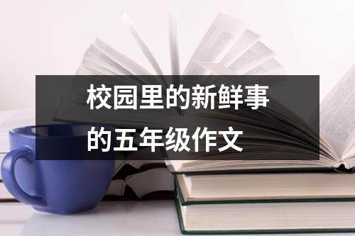 校园里的新鲜事的五年级作文