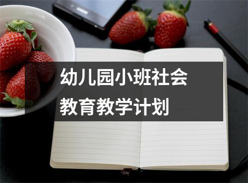 幼儿园小班社会教育教学计划