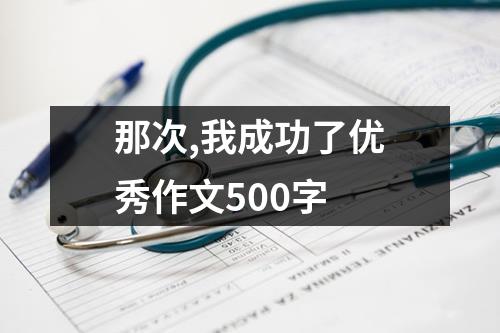 那次,我成功了优秀作文500字