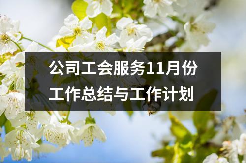 公司工会服务11月份工作总结与工作计划