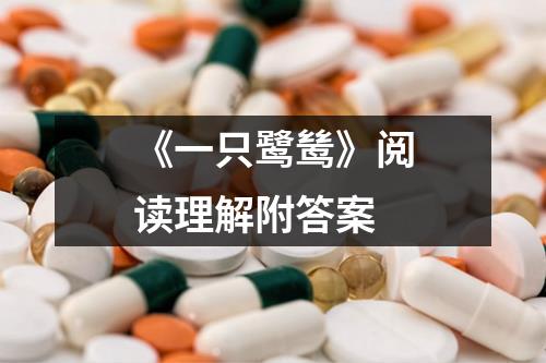 《一只鹭鸶》阅读理解附答案