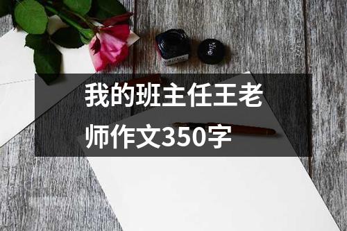 我的班主任王老师作文350字