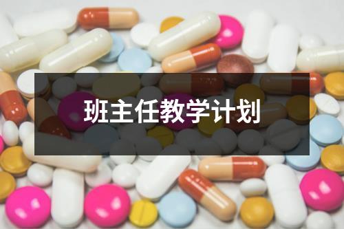 班主任教学计划