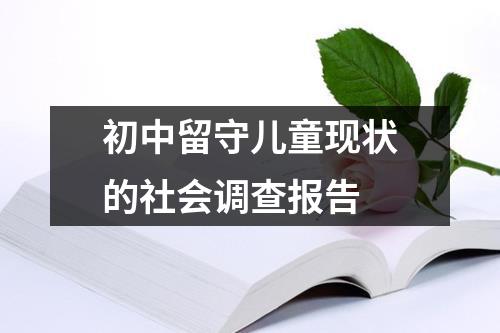 初中留守儿童现状的社会调查报告