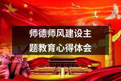 师德师风建设主题教育心得体会