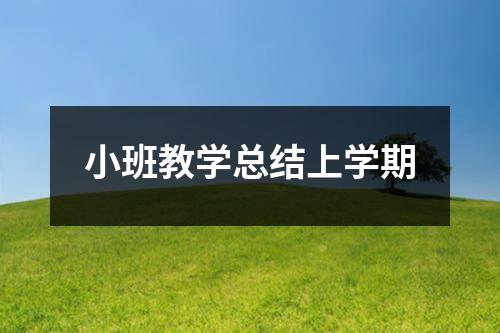 小班教学总结上学期