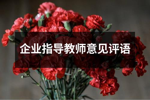 企业指导教师意见评语