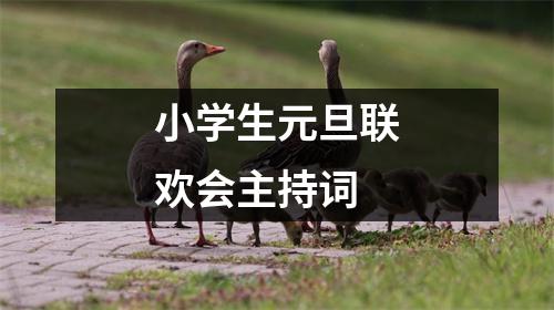 小学生元旦联欢会主持词